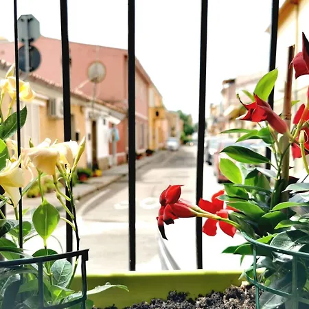 Lux Guest house